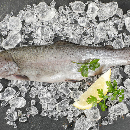 Bio Forellen Ganz 300g