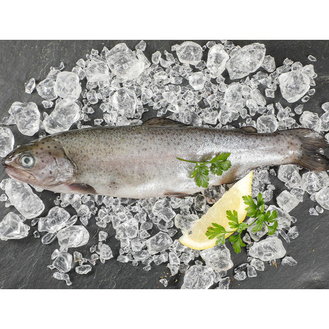 Bio Forellen Ganz 300g